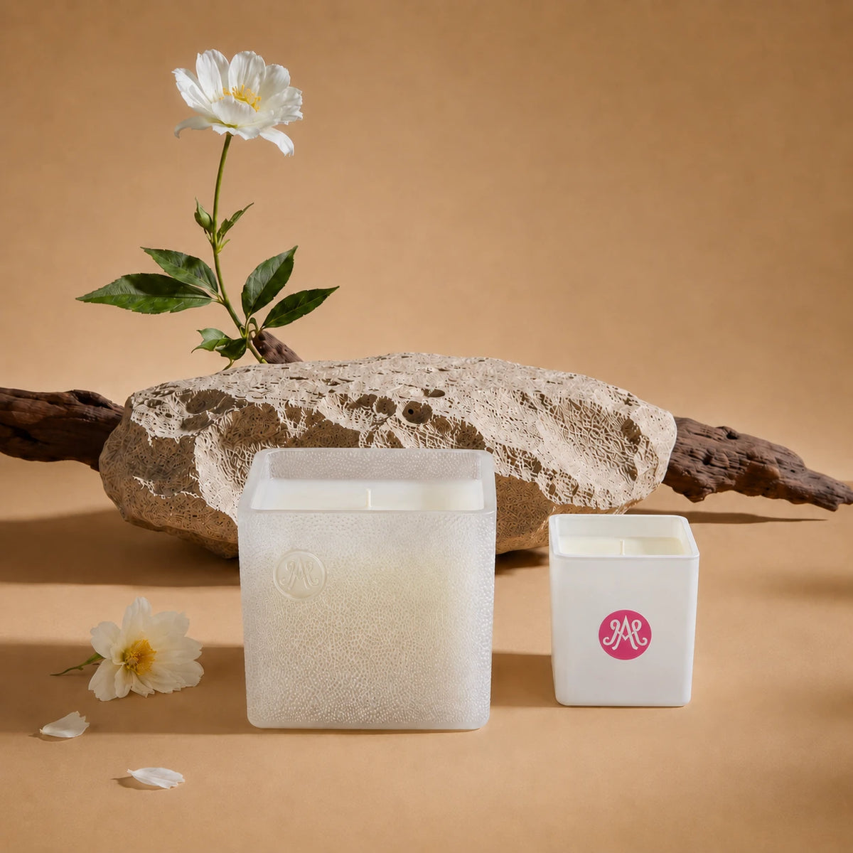 V. SENSUALE GINGIBERI Scented Candle 220g