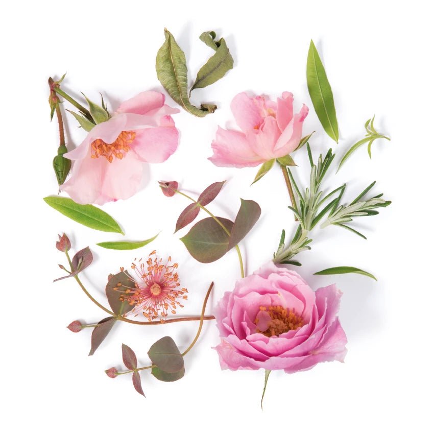 II VERBENA ROSA - Scented Candle 220g