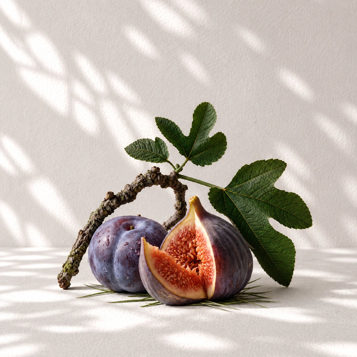 I FRUCTUS VASCONIA - Scented Candle 220g