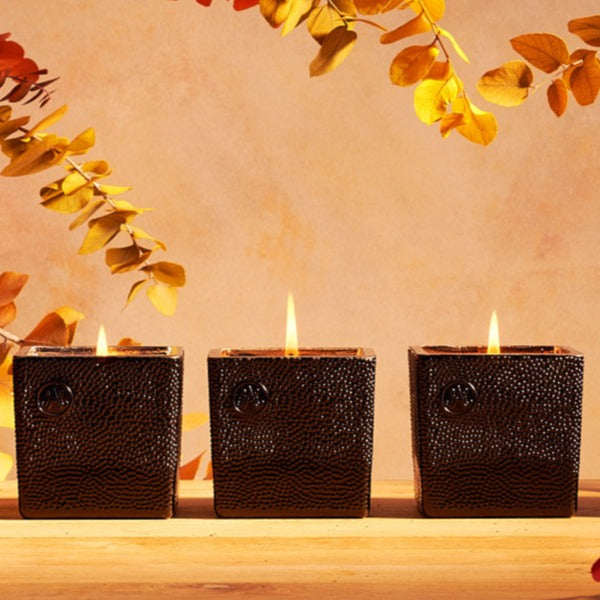Armagnac AMBRE Scented Candle 220g