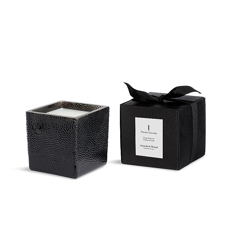 I FRUCTUS VASCONIA - Scented Candle Refill 190g