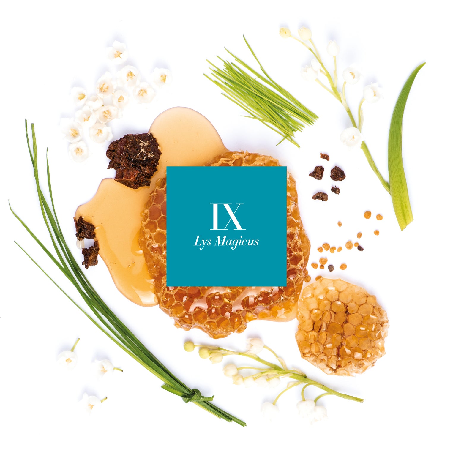 IX . LYS MAGICUS - Scented Candle 220g