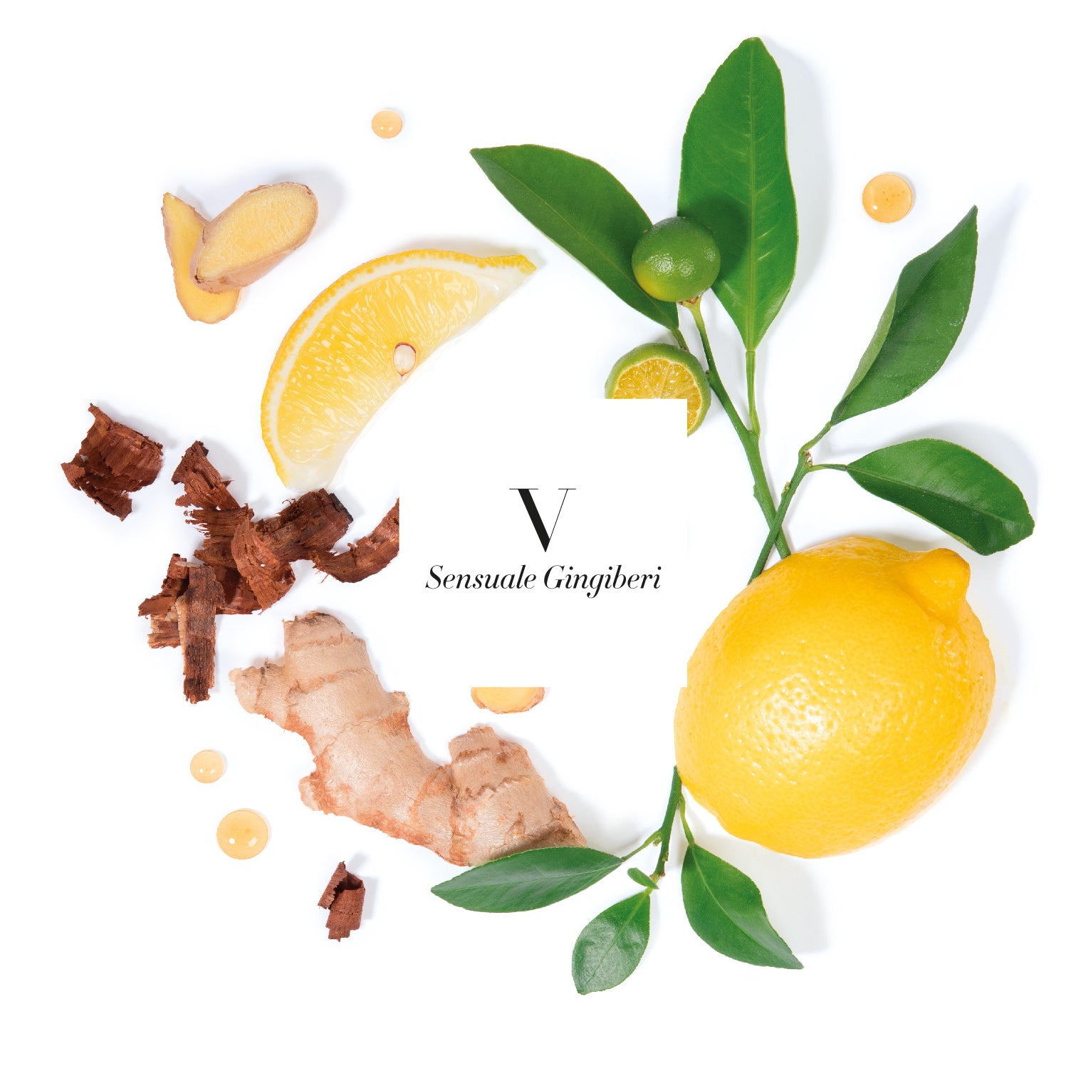 V. SENSUALE GINGIBERI Scented Candle 220g