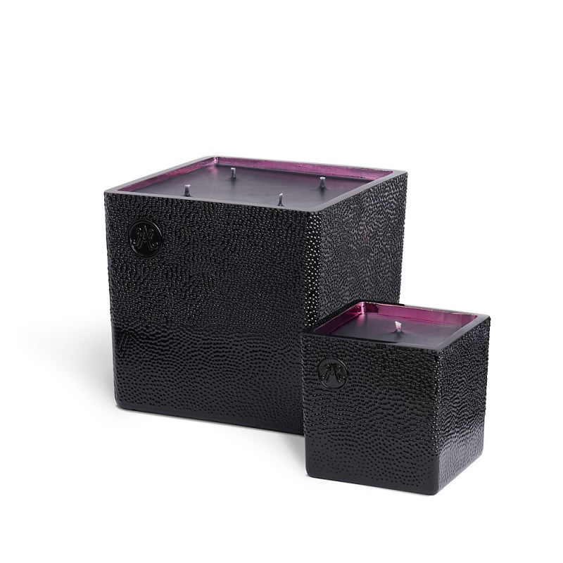 Armagnac SAUVAGE Scented Candle 4 wicks 1.1Kg