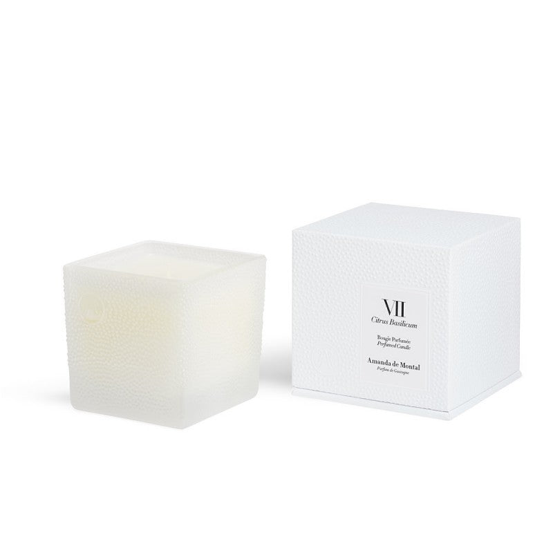 VII CITRUS BASILICUM Bougie Parfumée 220g