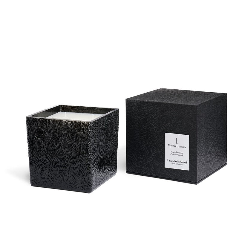 I FRUCTUS VASCONIA - Scented Candle 4 wicks 1.1 Kg