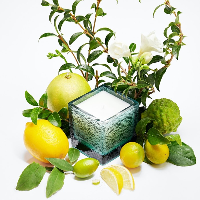 VIII THEA CITRUS Bougie Parfumée 220g