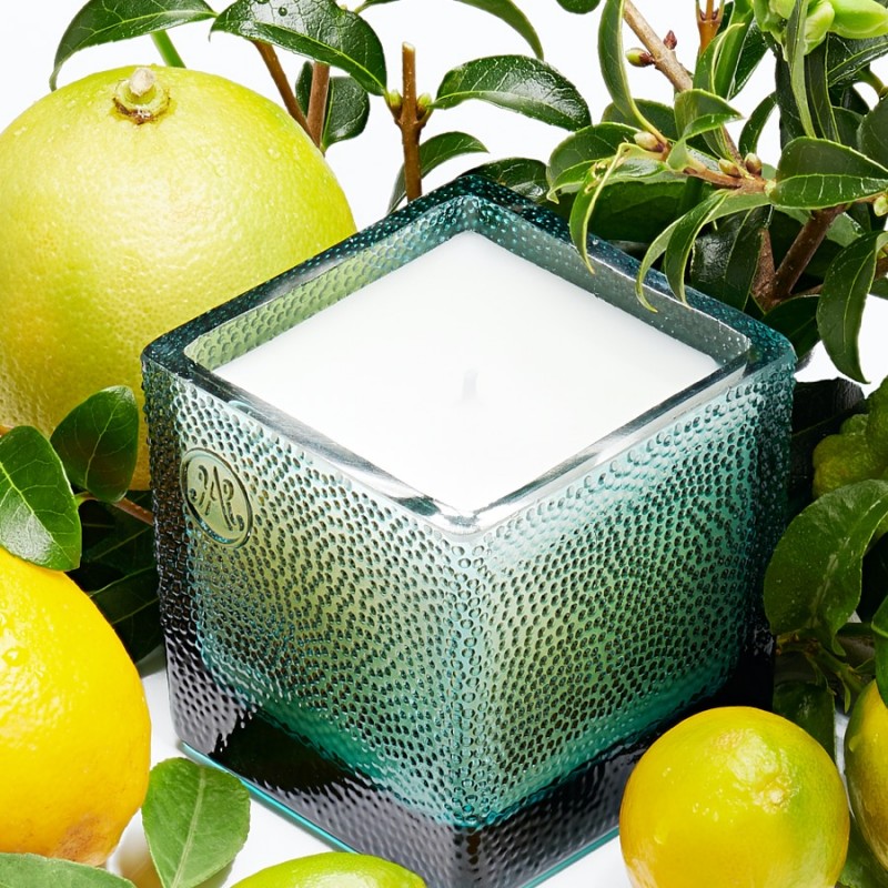 VIII THEA CITRUS Bougie Parfumée 220g