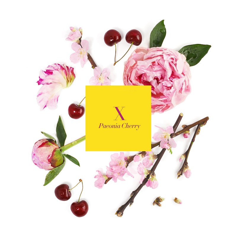 X PAEONIA CHERRY Bougie Parfumée 220g