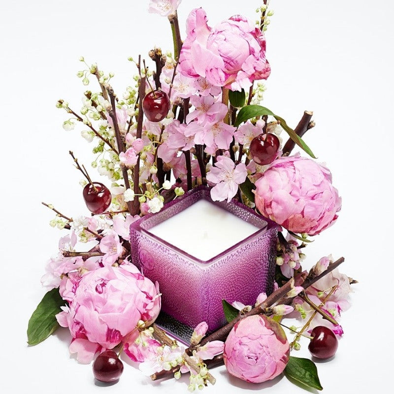 X PAEONIA CHERRY Bougie Parfumée 220g