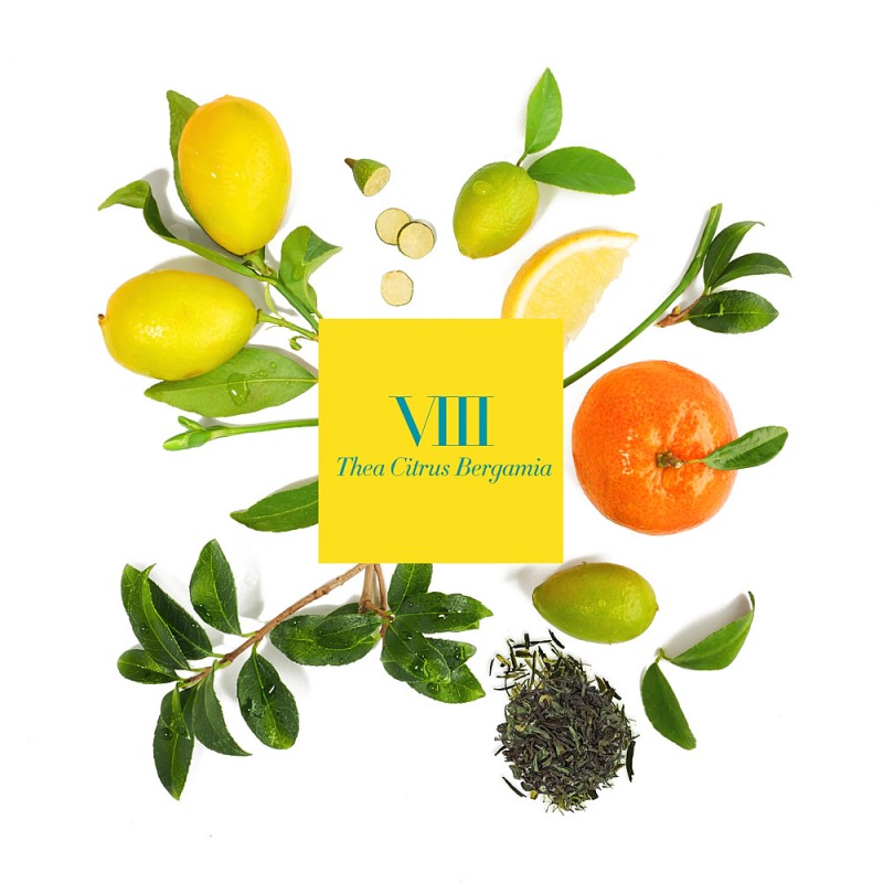 VIII THEA CITRUS Recharge Bougie Parfumée 4 mèches 1.4kg