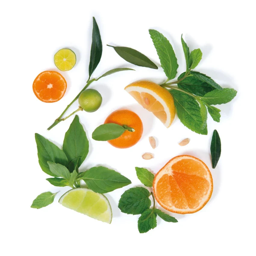Citrus Basilicum