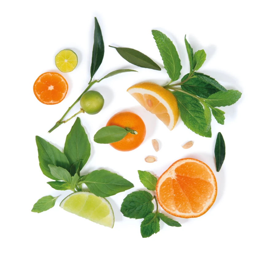 VII. CITRUS BASILICUM - Scented Candle  220g