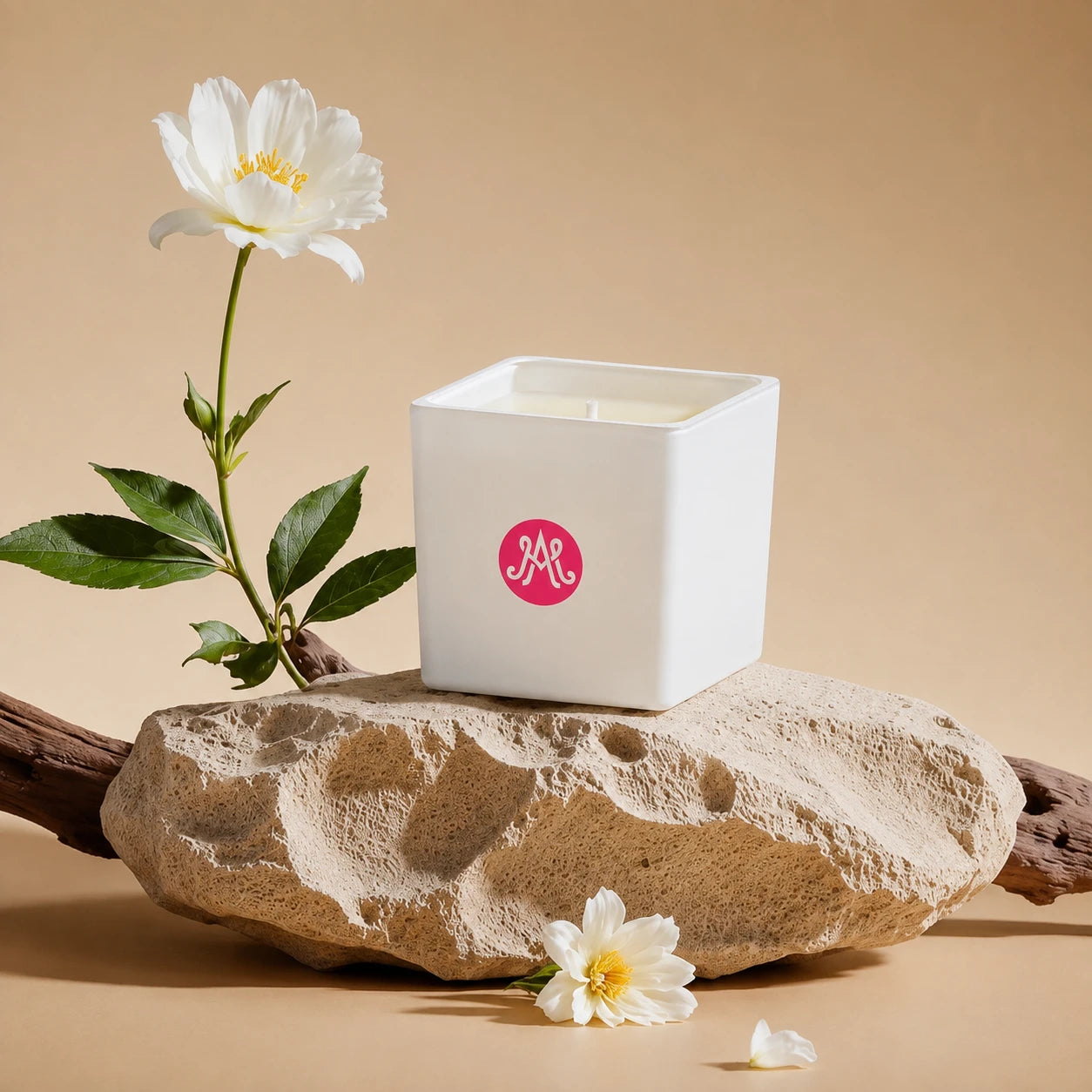 V. SENSUALE GINGIBERI Scented Candle 220g