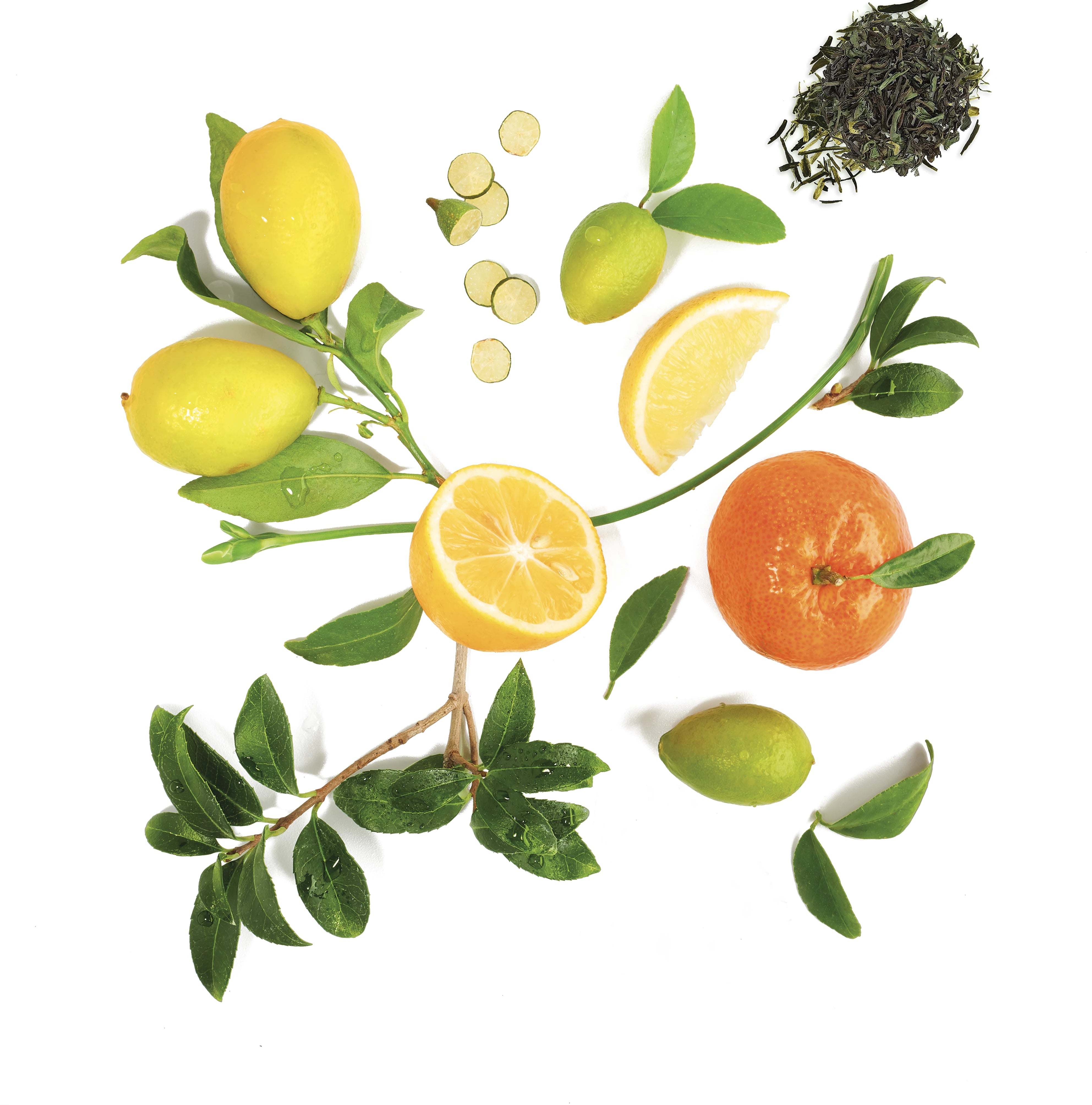 VIII THEA CITRUS- Scented Candle 220g