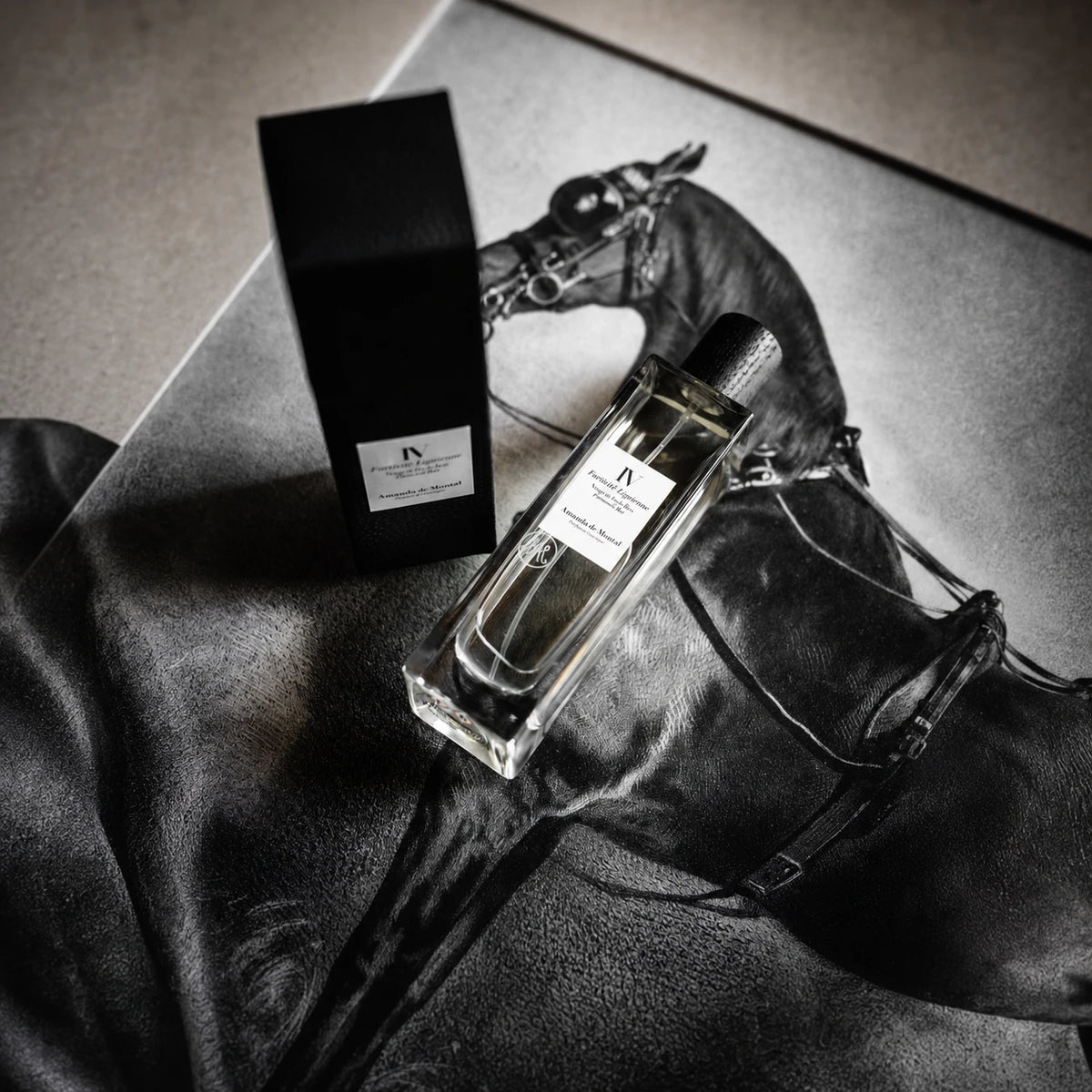 Fortitudo Lignorum Parfum d'intérieur 100ml