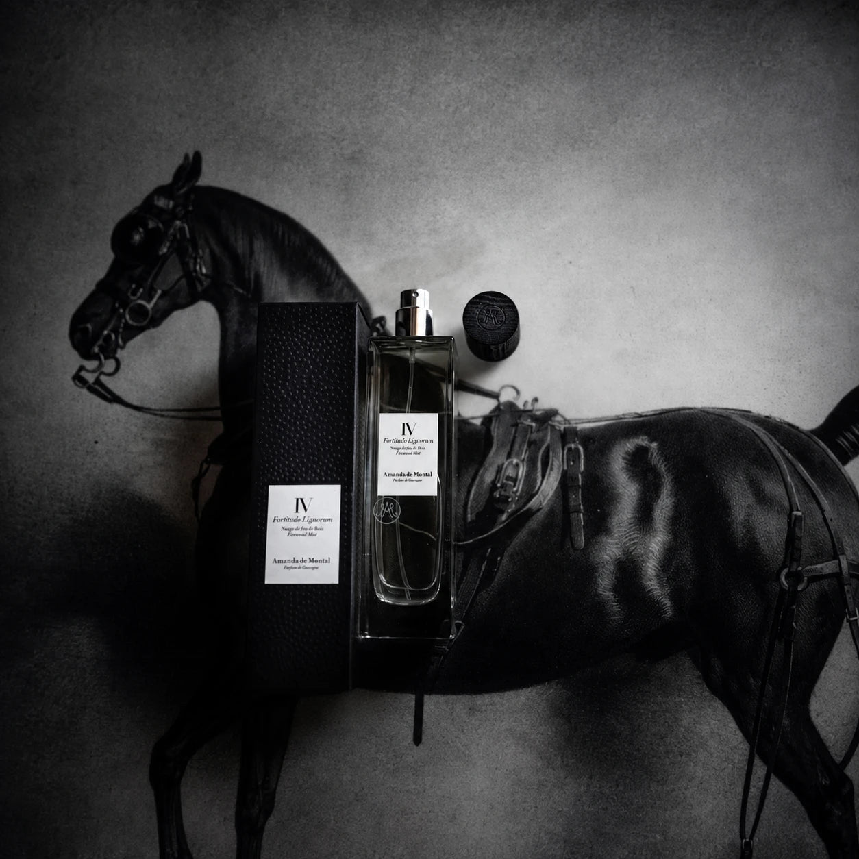 Fortitudo Lignorum Parfum d'intérieur 100ml