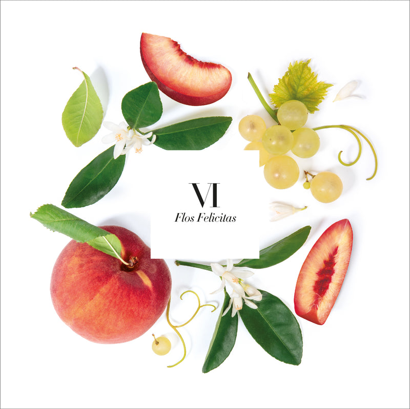 VI Flos Felicitas Bougie parfumée 4 mèches 1.4kg  - Terre cuite SILVER